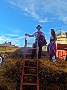 treb Tornimparte (50)